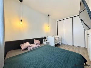 Pronájem bytu 2+kk, Kolín, Zengrova, 37 m2