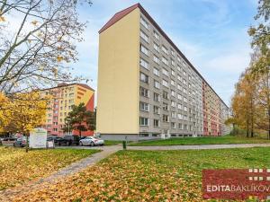 Pronájem bytu 2+1, Přerov, Pod Skalkou, 43 m2