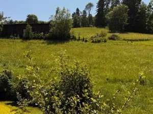 Prodej pole, Levínská Olešnice, 8891 m2