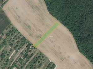 Prodej pole, Lovčice, 5984 m2