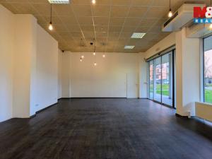 Pronájem kanceláře, Praha, Jankovcova, 58 m2