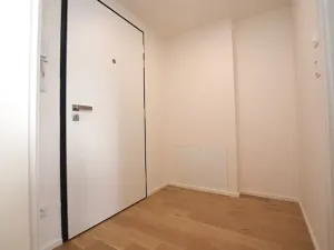 Pronájem bytu 1+kk, Praha - Lysolaje, Lysolajské údolí, 30 m2