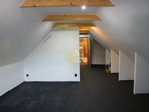 Prodej vícegeneračního domu, Louny, 478 m2