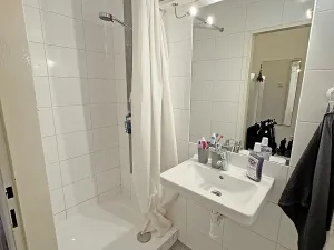 Pronájem bytu 1+kk, Brno, Plotní, 32 m2