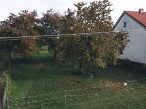 Prodej pozemku, Vinary - Kozojídky, 1213 m2