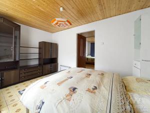 Prodej chalupy, Plasy, 174 m2