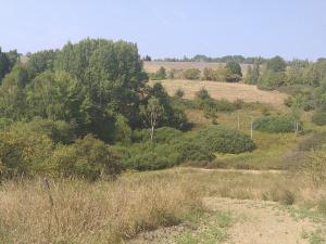 Prodej pole, Úterý, 34244 m2