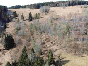 Prodej pole, Kraslice, 3869 m2