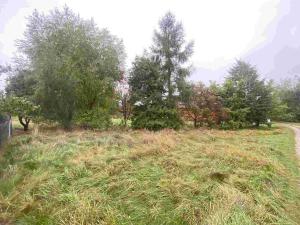 Prodej pozemku, Dolní Bukovsko - Bzí, 588 m2