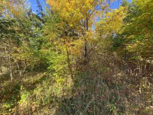 Prodej pole, Železný Brod, 12622 m2
