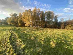 Prodej pole, Cvikov - Trávník, 16894 m2