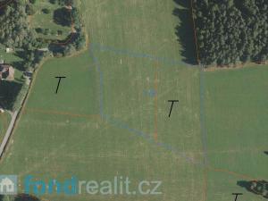 Prodej pole, Zdíkov - Branišov, 20225 m2