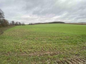 Prodej pole, Oráčov, 19275 m2