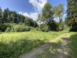 Prodej pole, Kaplice - Blansko, 843 m2