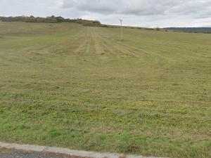 Prodej pozemku, Věšín, 10923 m2