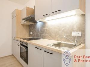 Pronájem bytu 1+kk, Rakovník, Šamotka, 27 m2