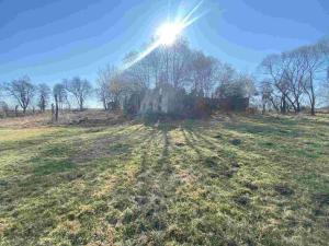 Prodej pozemku, Dolní Dvořiště - Všeměřice, 11107 m2