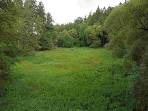 Prodej pole, Chýnov - Dobronice u Chýnova, 22334 m2