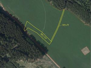 Prodej pole, Stará Paka, 44606 m2