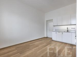 Pronájem bytu 1+kk, Praha - Žižkov, Milíčova, 29 m2