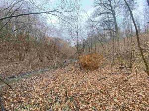 Prodej pole, Ždánice, 3207 m2