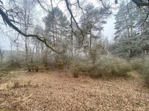 Prodej pole, Slatina, 11302 m2