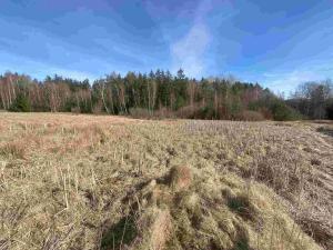 Prodej pole, Františkovy Lázně, 15408 m2