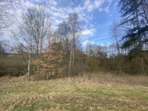 Prodej pozemku, Dolní Dvořiště - Trojany, 18915 m2