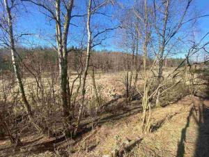 Prodej pole, Rozvadov - Svatá Kateřina, 60693 m2