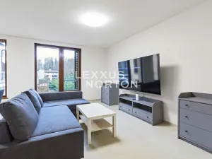 Pronájem bytu 4+kk, Praha - Bubeneč, Mlýnská, 108 m2