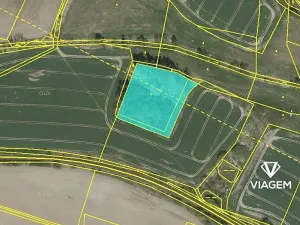 Prodej lesa, Jindřichův Hradec, 7182 m2