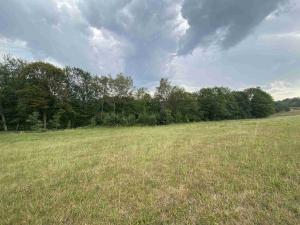 Prodej pole, Dolní Nivy, 1197 m2