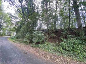 Prodej pozemku, Jindřichovice, 446 m2