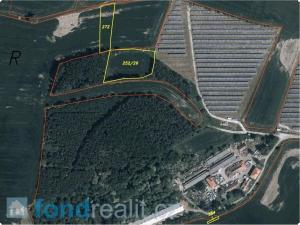 Prodej pole, Čejetice, 10968 m2