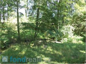 Prodej pole, Čejetice, 10968 m2