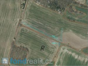 Prodej pole, Čejetice, 10968 m2