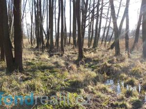 Prodej pozemku, Čejetice - Sudoměř, 62047 m2