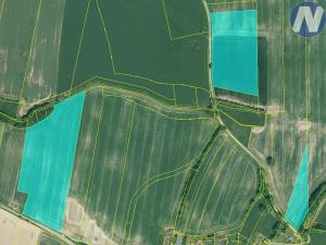 Prodej podílu louky, Němčice, 182831 m2