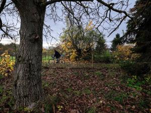 Prodej rodinného domu, Soběšín, 90 m2