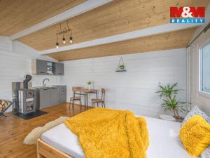 Prodej chaty, Skuteč - Štěpánov, 20 m2