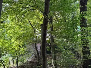 Prodej lesa, Háj ve Slezsku, 4689 m2