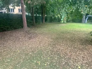 Pronájem bytu 1+kk, Kadaň, Školní, 19 m2