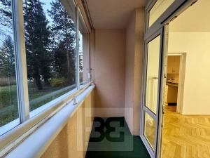 Pronájem bytu 1+1, Brno, Halasovo náměstí, 25 m2