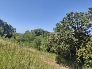 Prodej vily, Scalea, Itálie, 90 m2