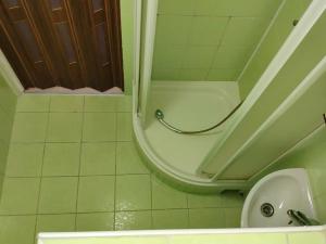 Pronájem bytu 1+kk, Sokolov, Mičurinova, 20 m2