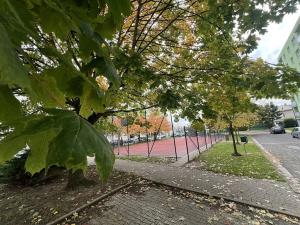 Prodej bytu 3+1, Jičín, Na jihu, 71 m2