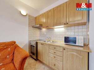 Pronájem bytu 1+kk, Mariánské Lázně - Úšovice, Tepelská, 20 m2