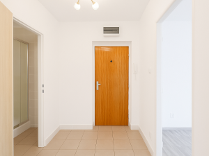 Pronájem bytu 1+1, Ostrov, Odborů, 33 m2