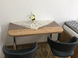 Pronájem bytu 1+1, Zlín, Vejvanovská, 30 m2