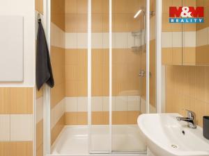 Prodej bytu 2+kk, Děčín, Závodní, 42 m2